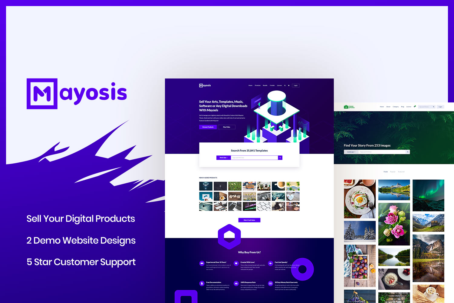 WordPress development agency – premium themes and plugins by Teconce LLC